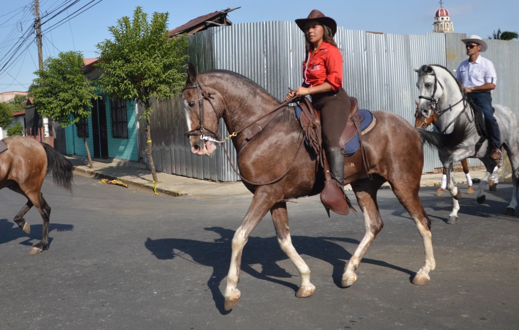 Foto: Tope Alajuela 2014 - Alajuela, Costa Rica