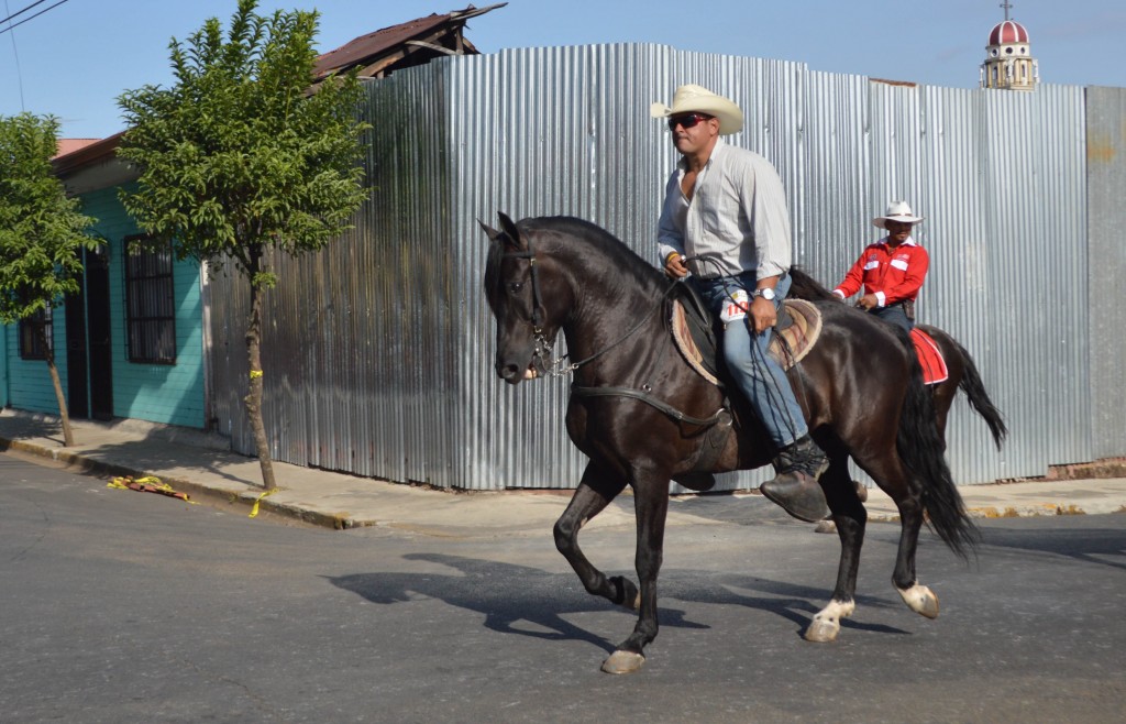 Foto: Tope Alajuela 2014 - Alajuela, Costa Rica