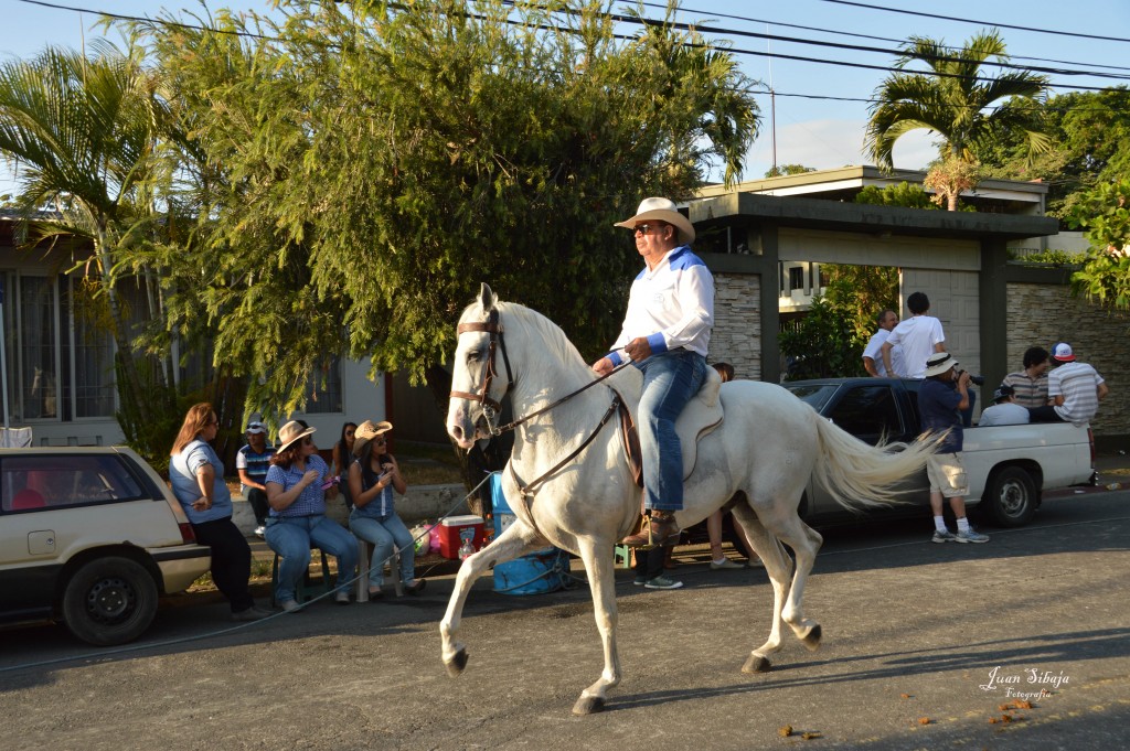 Foto: Tope Alajuela 2014 - Alajuela, Costa Rica