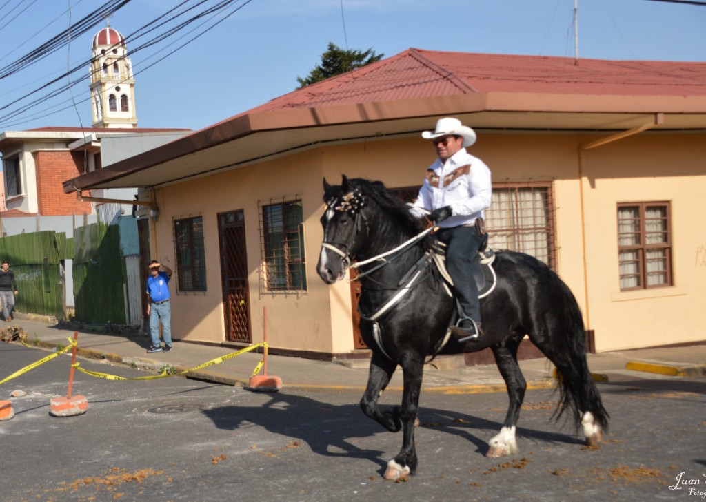 Foto: Tope Alajuela 2014 - Alajuela, Costa Rica