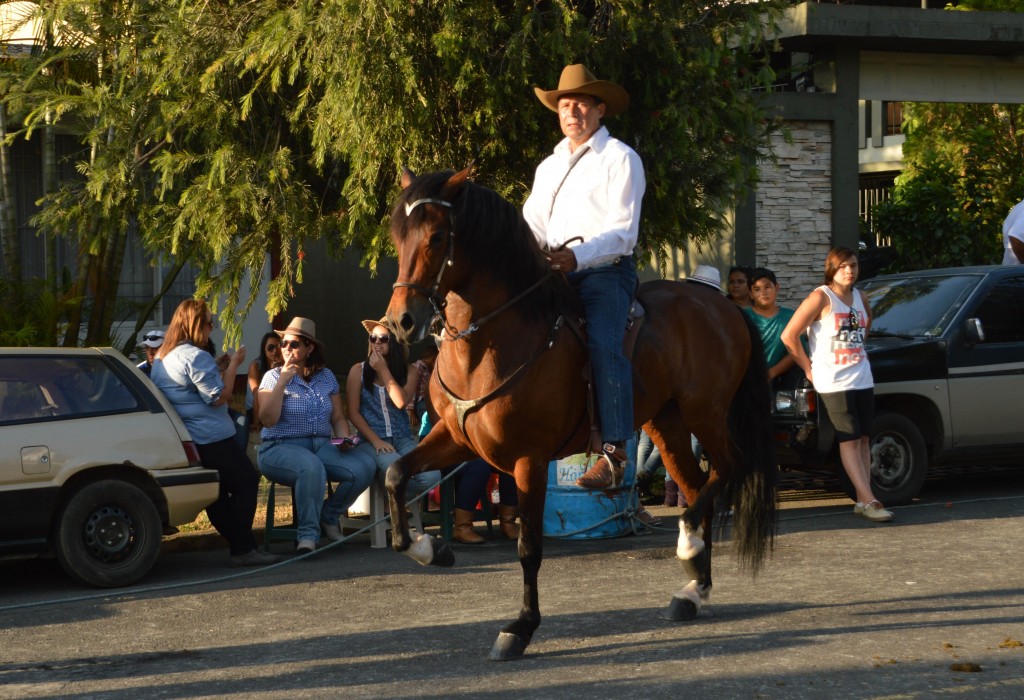 Foto: Tope Alajuela 2014 - Alajuela, Costa Rica