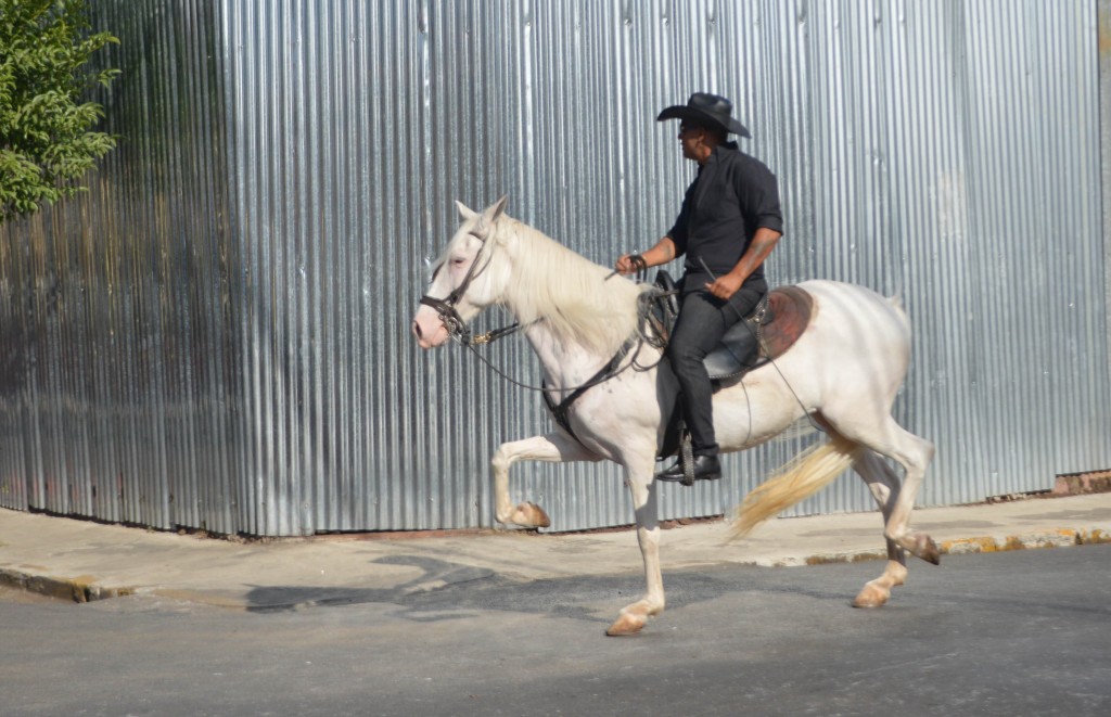 Foto: Tope Alajuela 2014 - Alajuela, Costa Rica