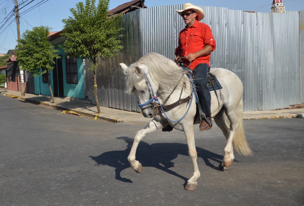 Foto: Tope Alajuela 2014 - Alajuela, Costa Rica