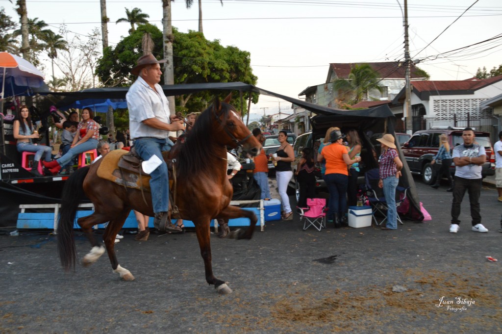 Foto: Tope Alajuela 2014 - Alajuela, Costa Rica