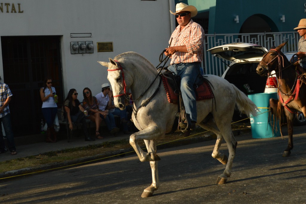 Foto: Tope Alajuela 2014 - Alajuela, Costa Rica