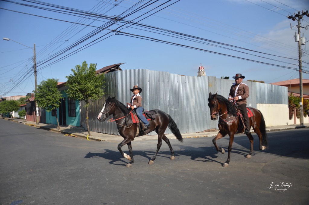 Foto: Tope Alajuela 2014 - Alajuela, Costa Rica