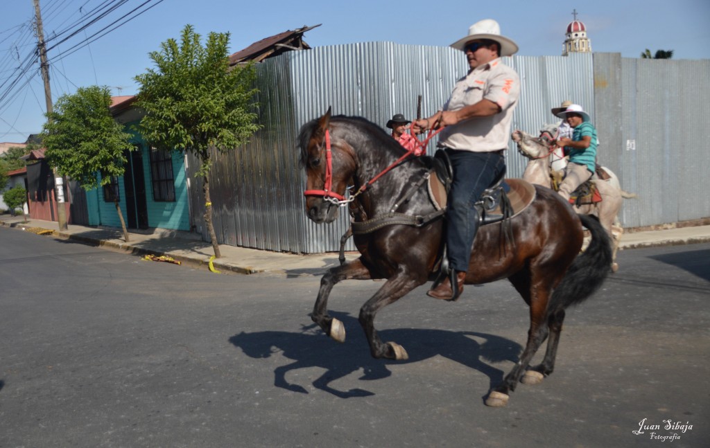 Foto: Tope Alajuela 2014 - Alajuela, Costa Rica