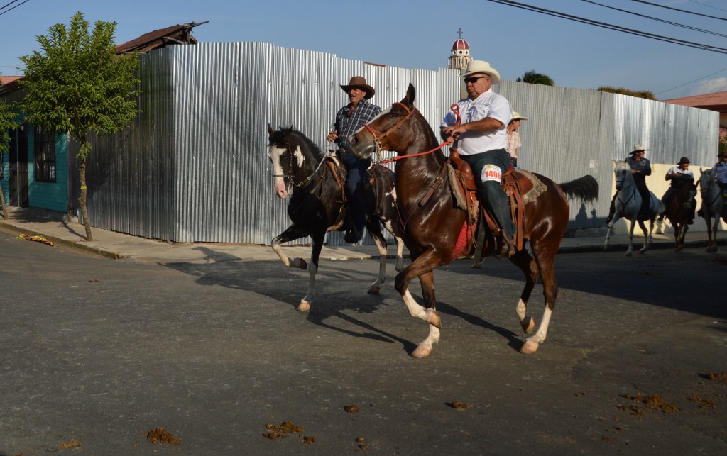 Foto: Tope Alajuela 2014 - Alajuela, Costa Rica