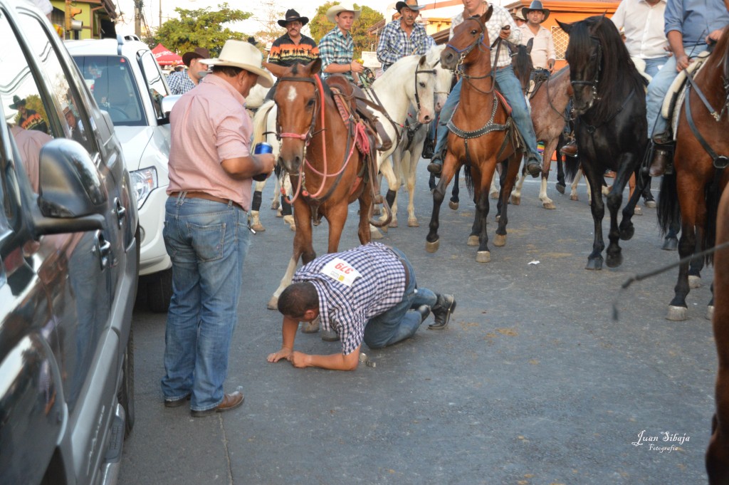 Foto: Tope Alajuela 2014 - Alajuela, Costa Rica