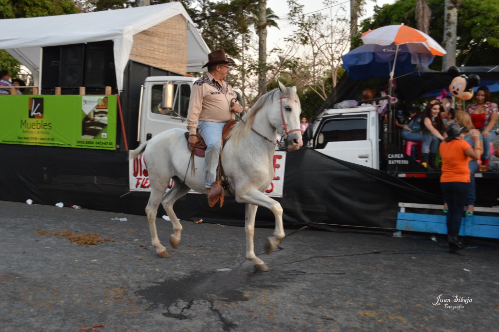 Foto: Tope Alajuela 2014 - Alajuela, Costa Rica