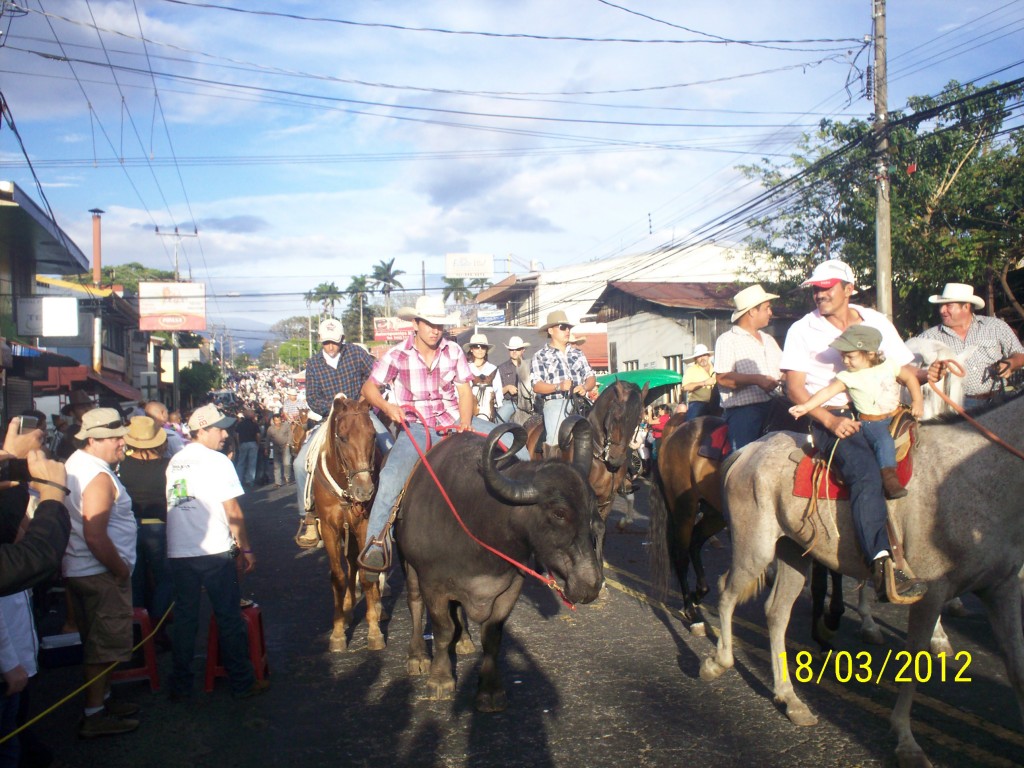 Foto: Tope Alajuela 2012 - Alajuela, Costa Rica