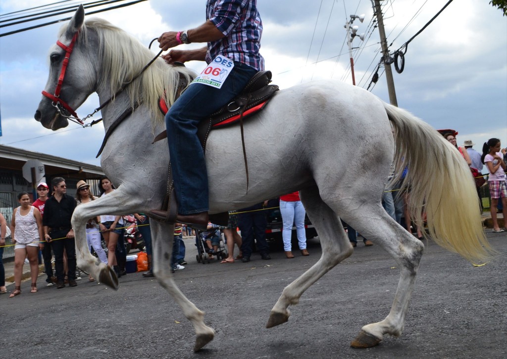 Foto: Tope Sarchi 2013-3 - Alajuela, Costa Rica