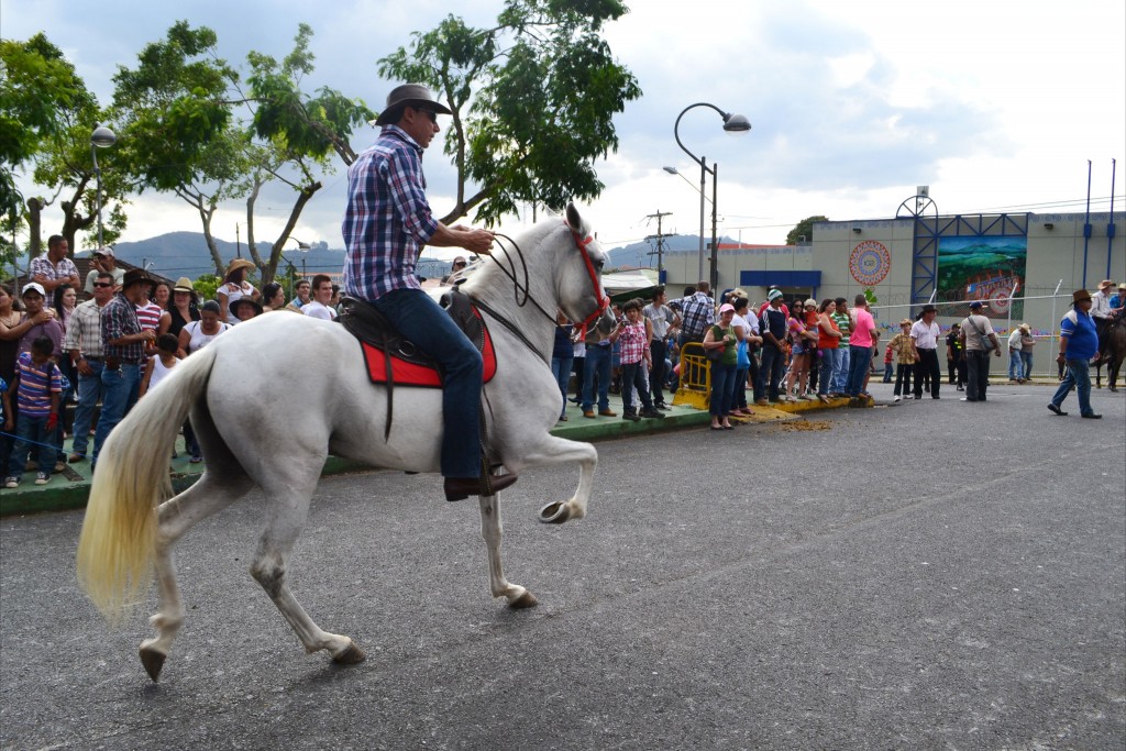 Foto: Tope Sarchi 2013-3 - Alajuela, Costa Rica