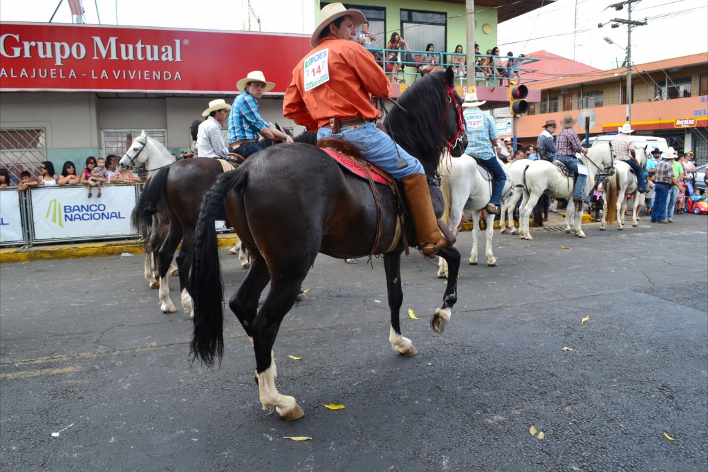 Foto: TOPE SARCHI 2013-2 - Alajuela, Costa Rica