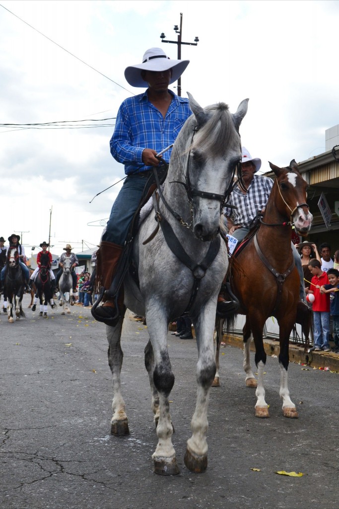 Foto: TOPE SARCHI 2013-2 - Alajuela, Costa Rica
