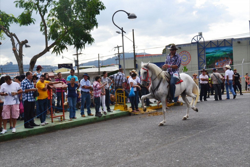 Foto: Tope Sarchi 2013-3 - Alajuela, Costa Rica