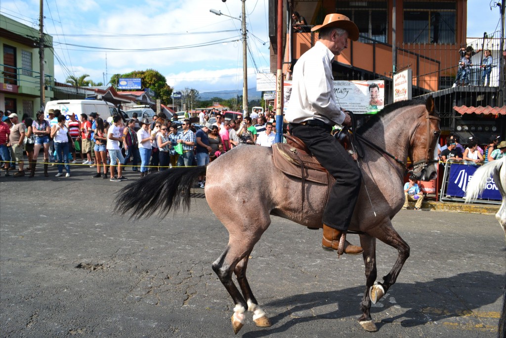 Foto: Tope Sarchi 2013-2 - Alajuela, Costa Rica