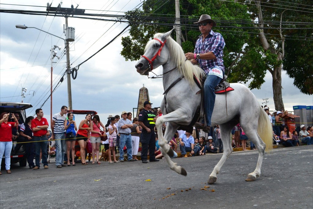 Foto: Tope Sarchi 2013-3 - Alajuela, Costa Rica