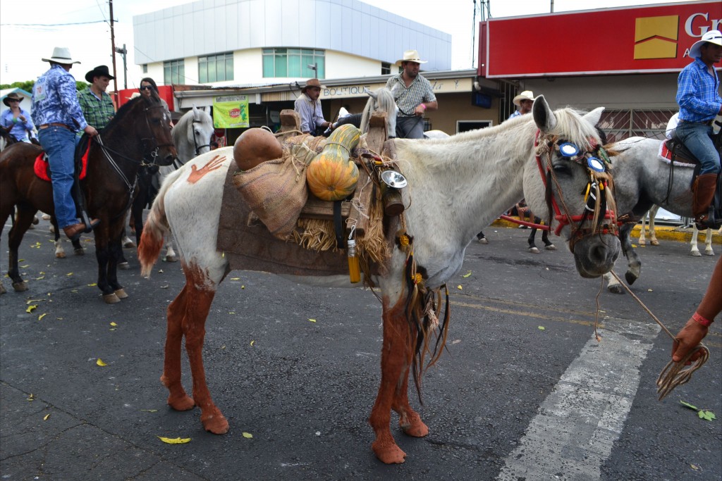 Foto: Tope Sarchi 2013-4 - Alajuela, Costa Rica