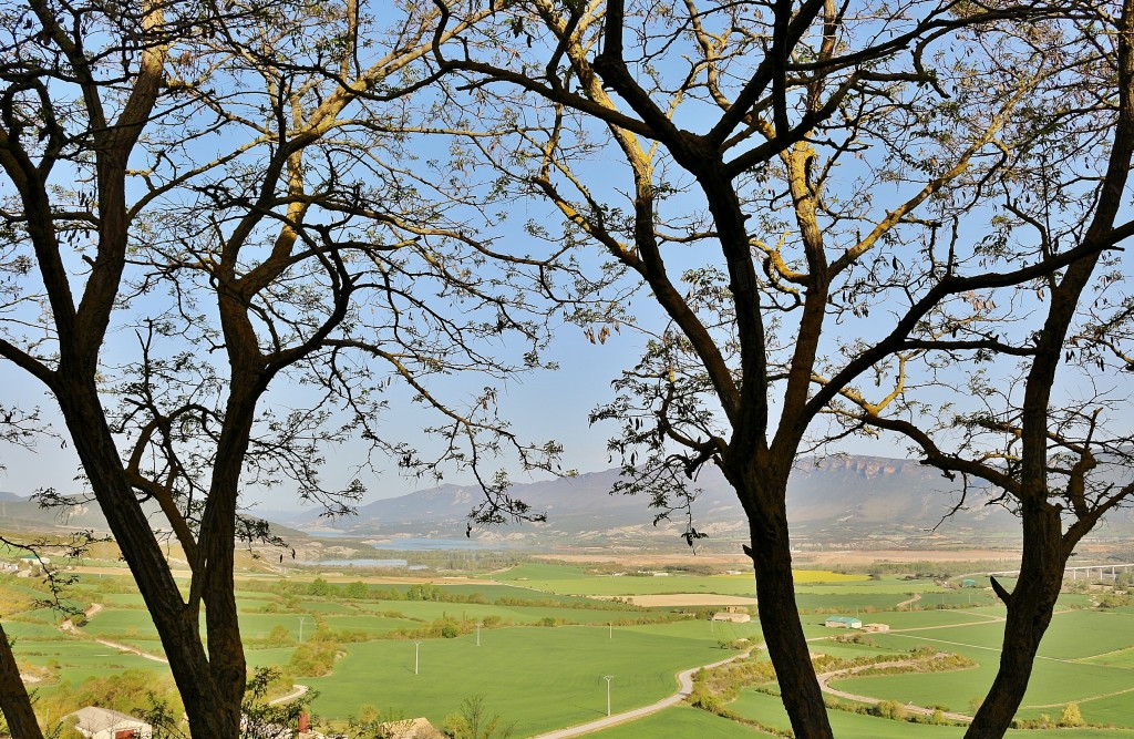 Foto: Paisaje - Artieda (Zaragoza), España
