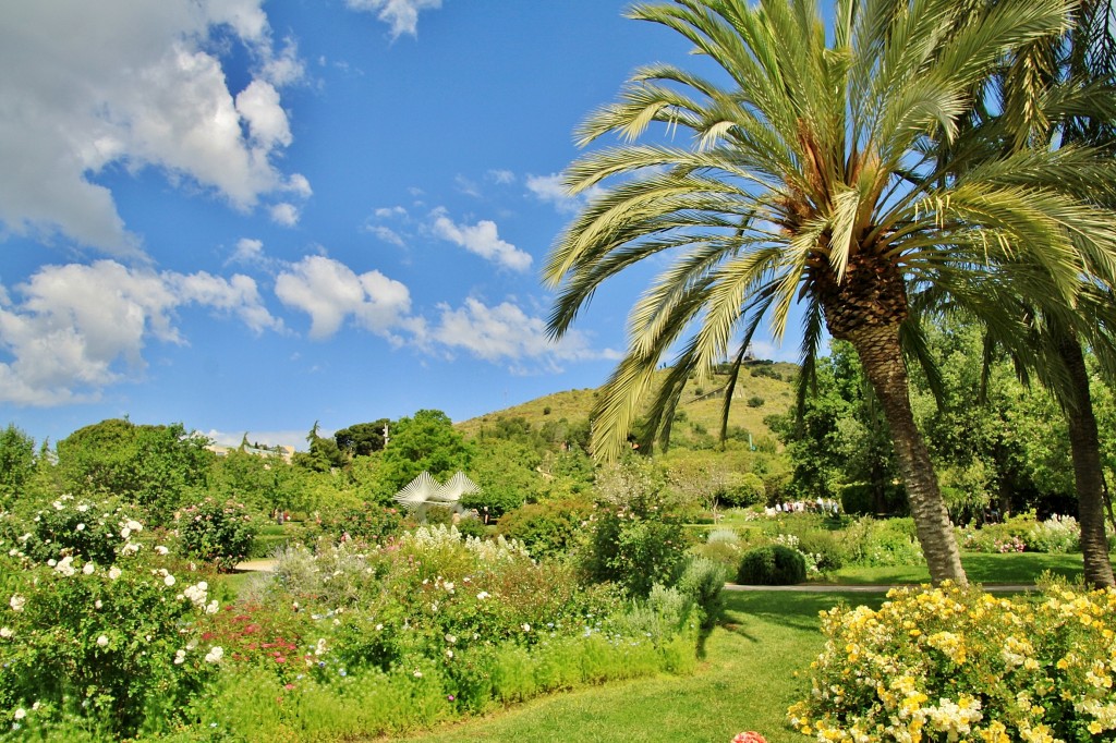Foto: Concurso de rosas 2017 - Barcelona (Cataluña), España