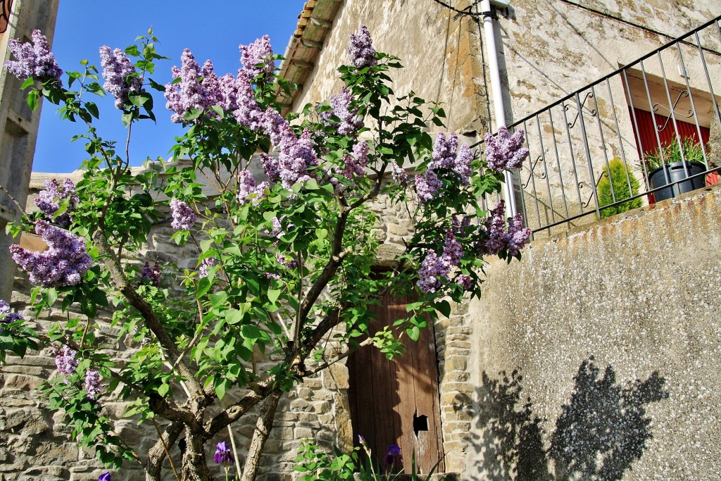 Foto: Centro histórico - Artieda (Zaragoza), España