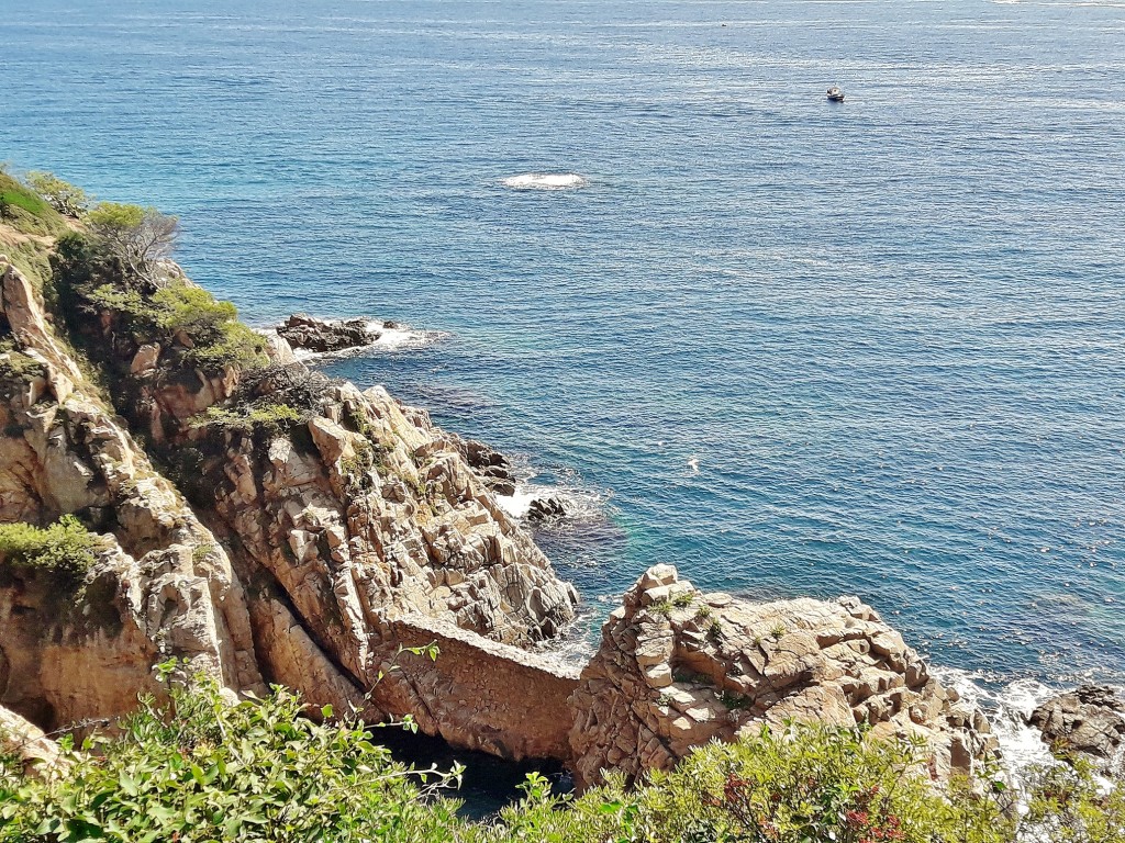 Foto: Jardín botánico - Blanes (Girona), España