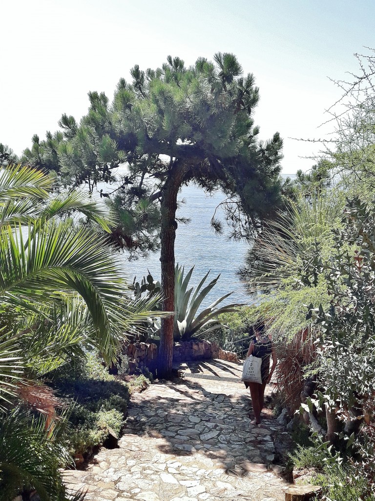 Foto: Jardín botánico - Blanes (Girona), España