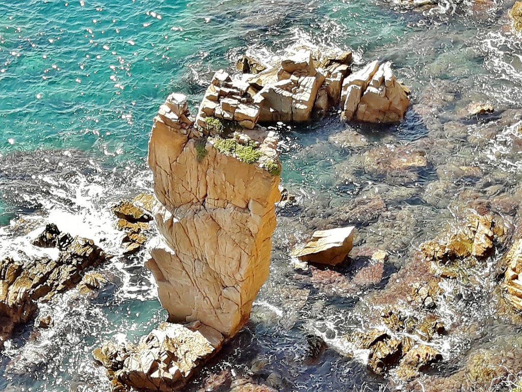 Foto: Jardín botánico - Blanes (Girona), España