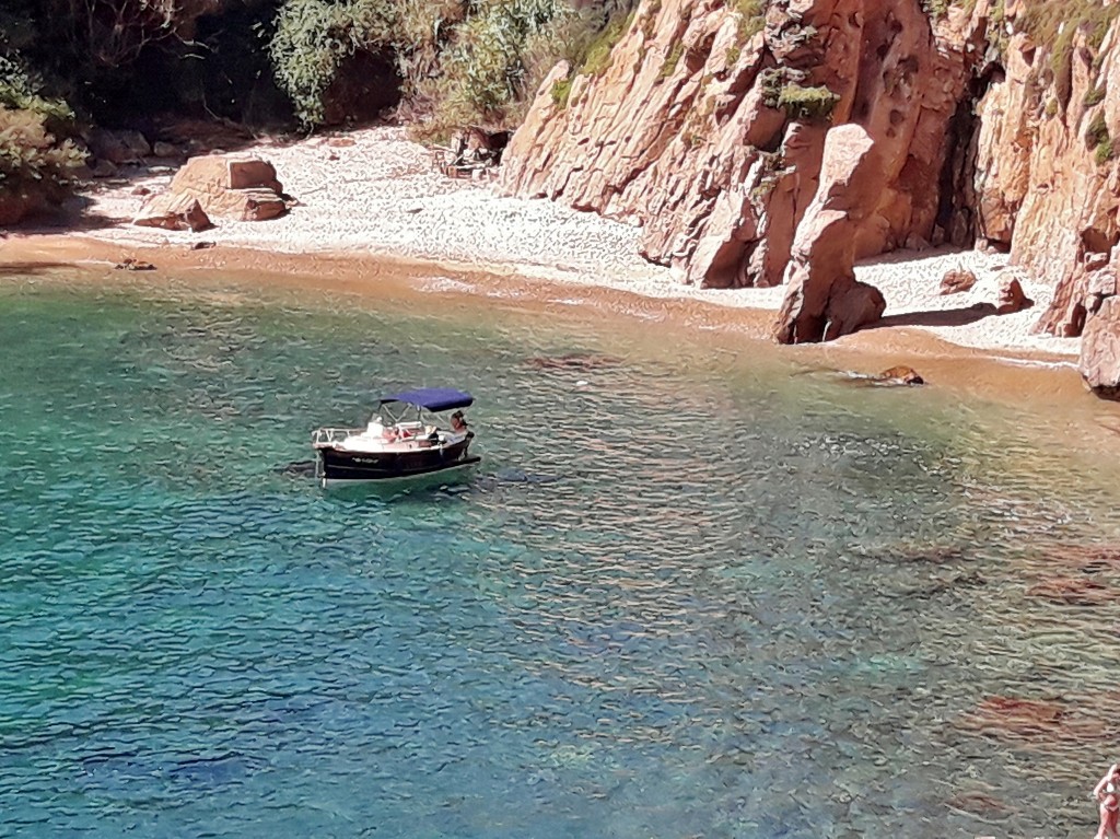 Foto: Jardín botánico - Blanes (Girona), España