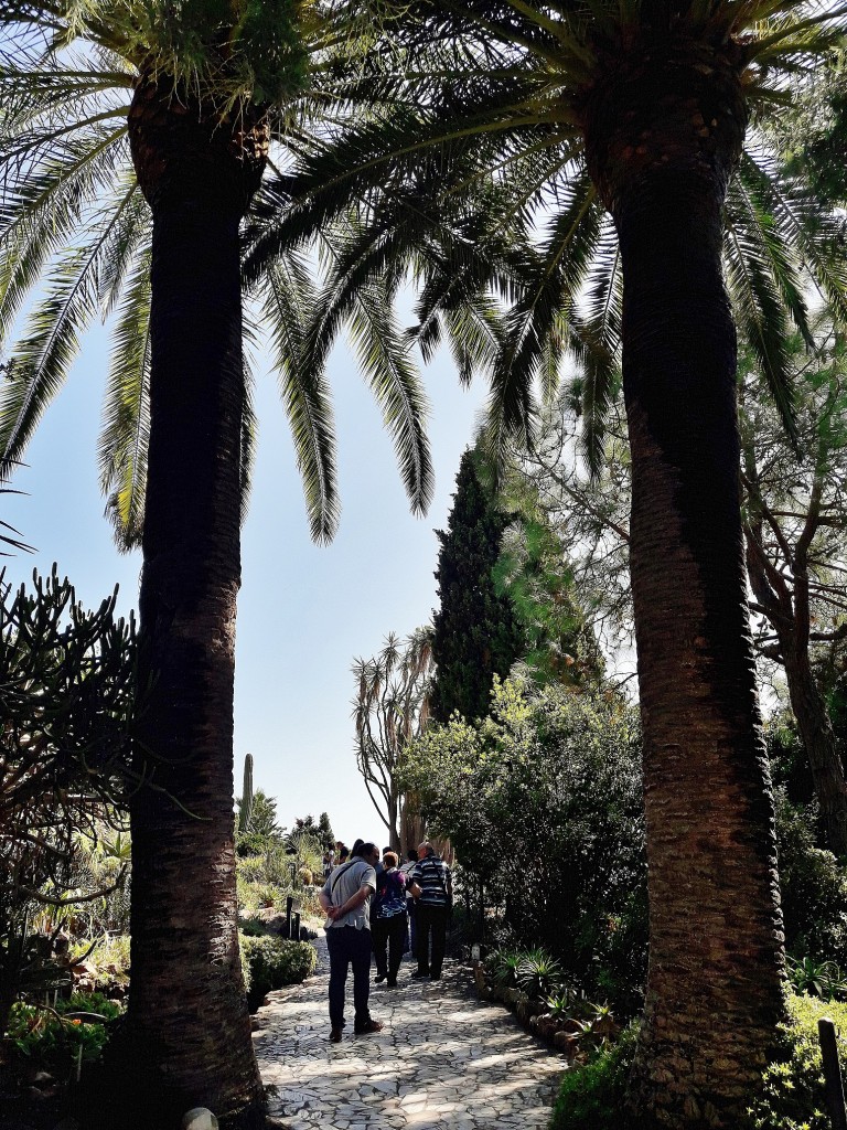 Foto: Jardín botánico - Blanes (Girona), España