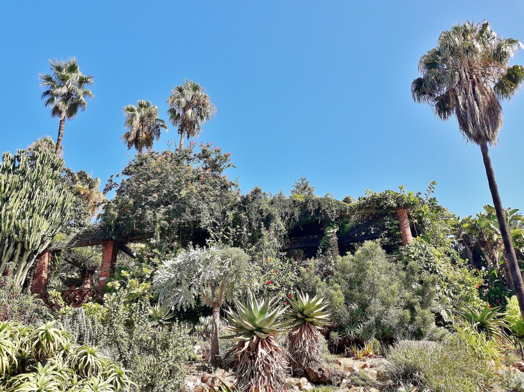 Foto: Jardín botánico - Blanes (Girona), España
