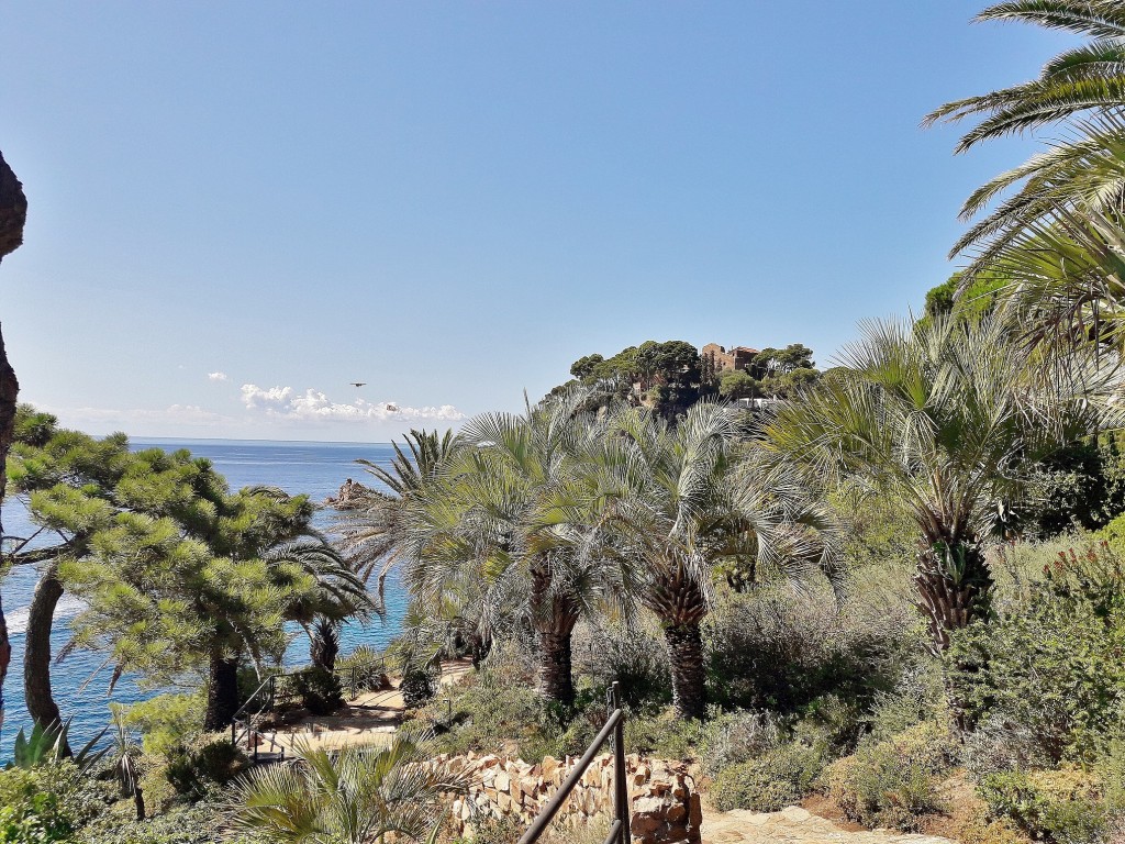 Foto: Jardín botánico - Blanes (Girona), España