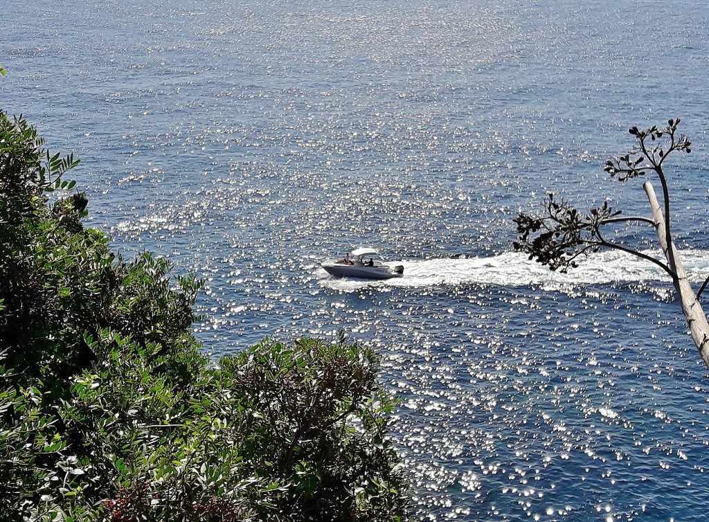 Foto: Jardín botánico - Blanes (Girona), España