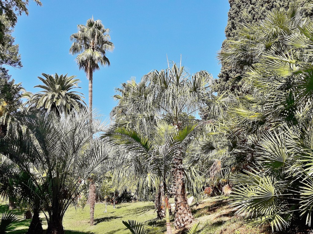 Foto: Jardín botánico - Blanes (Girona), España