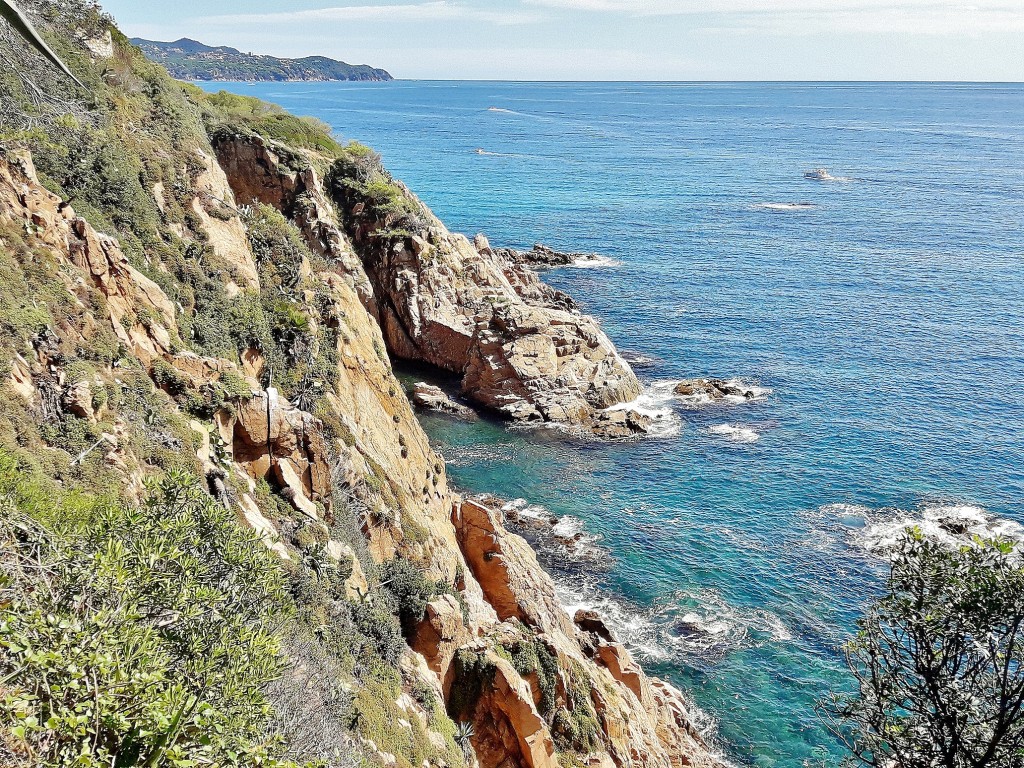 Foto: Jardín botánico - Blanes (Girona), España