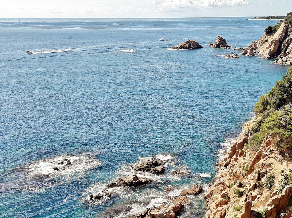 Foto: Jardín botánico - Blanes (Girona), España