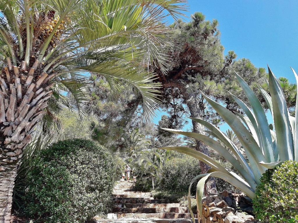 Foto: Jardín botánico - Blanes (Girona), España