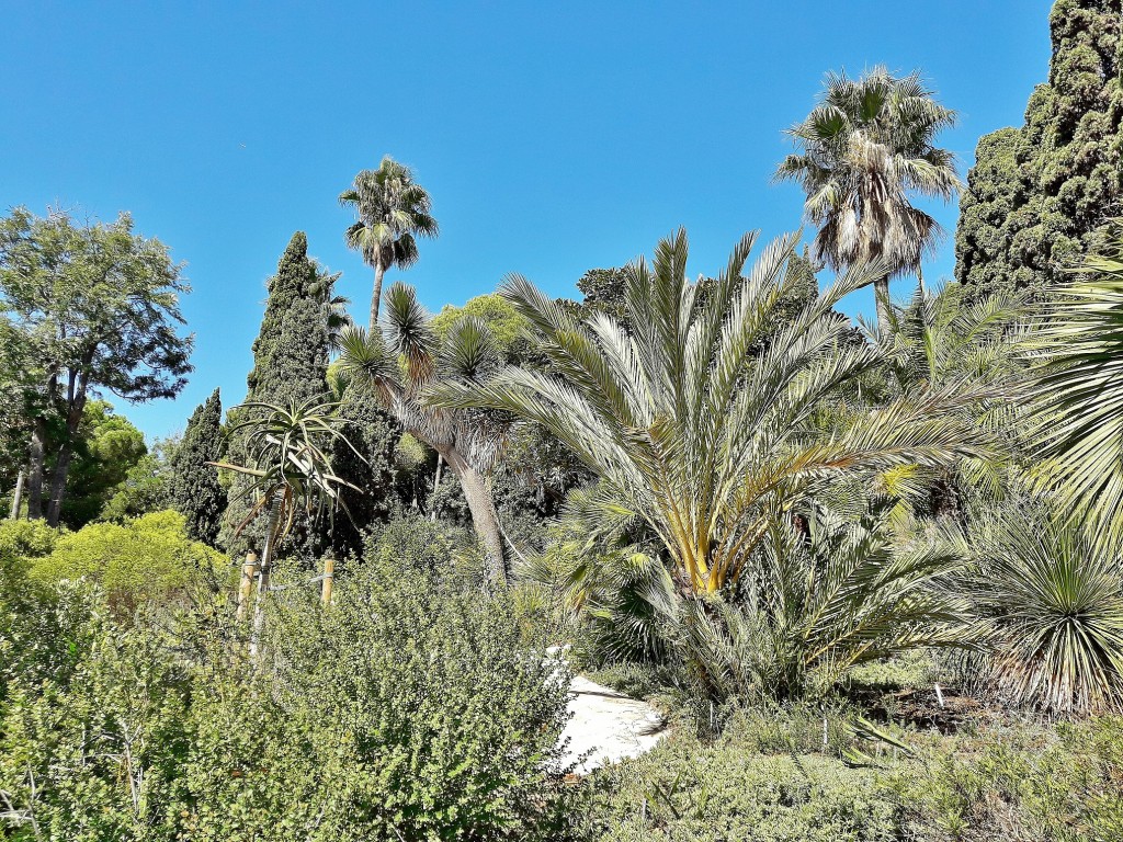 Foto: Jardín botánico - Blanes (Girona), España
