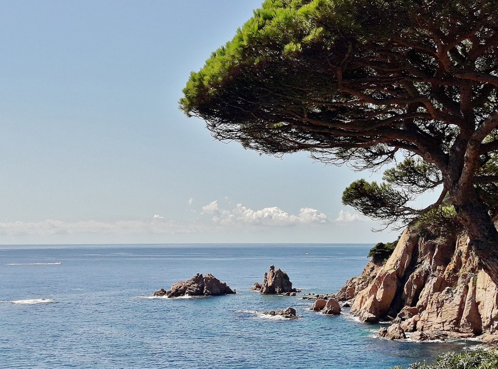 Foto: Jardín botánico - Blanes (Girona), España