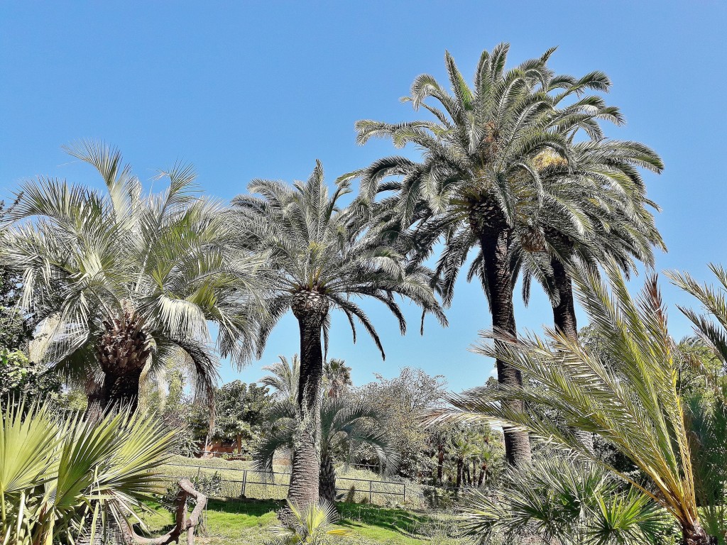 Foto: Jardín botánico - Blanes (Girona), España