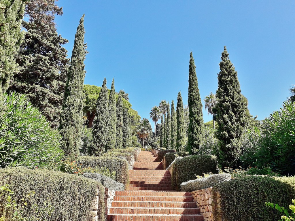 Foto: Jardín botánico - Blanes (Girona), España