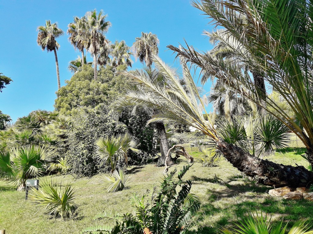 Foto: Jardín botánico - Blanes (Girona), España
