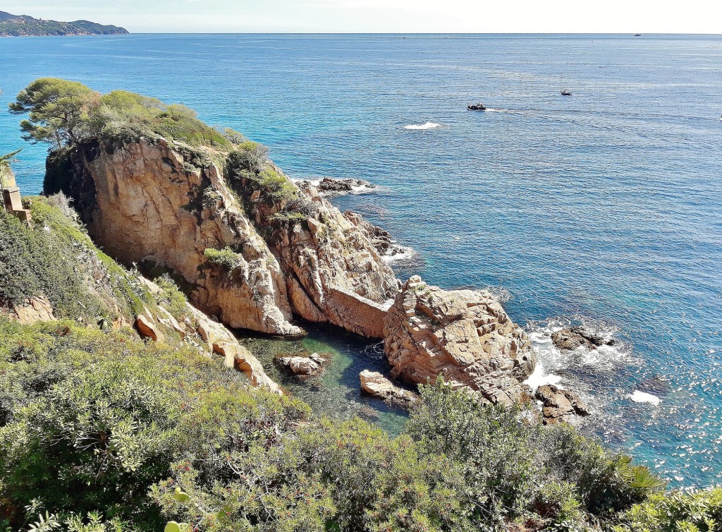 Foto: Jardín botánico - Blanes (Girona), España