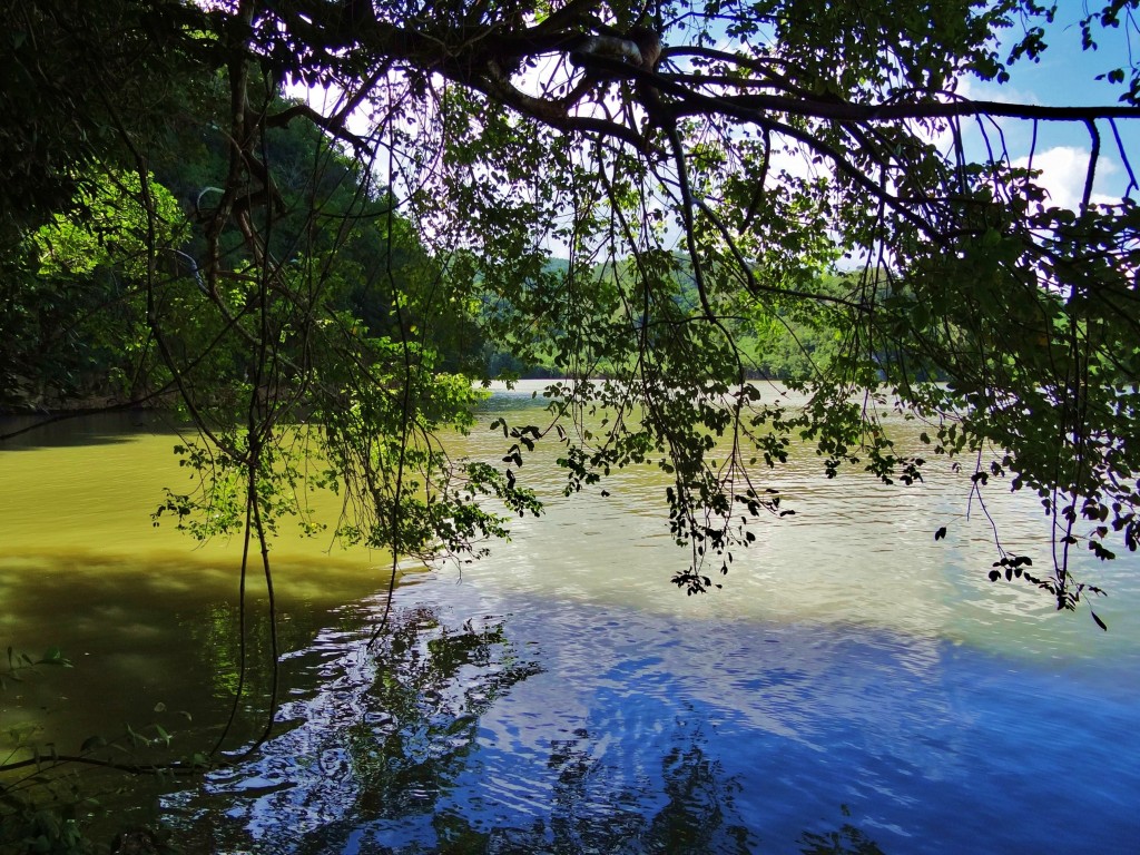 Foto: Bahía de Samaná - Parque Nacional Los Haitises (Hato Mayor), República Dominicana