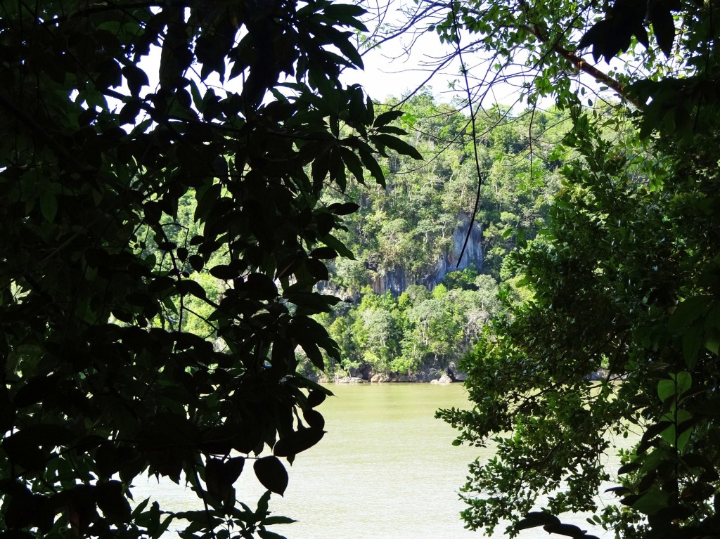 Foto: Cueva de San Gabriel - Parque Nacional Los Haitises (Hato Mayor), República Dominicana