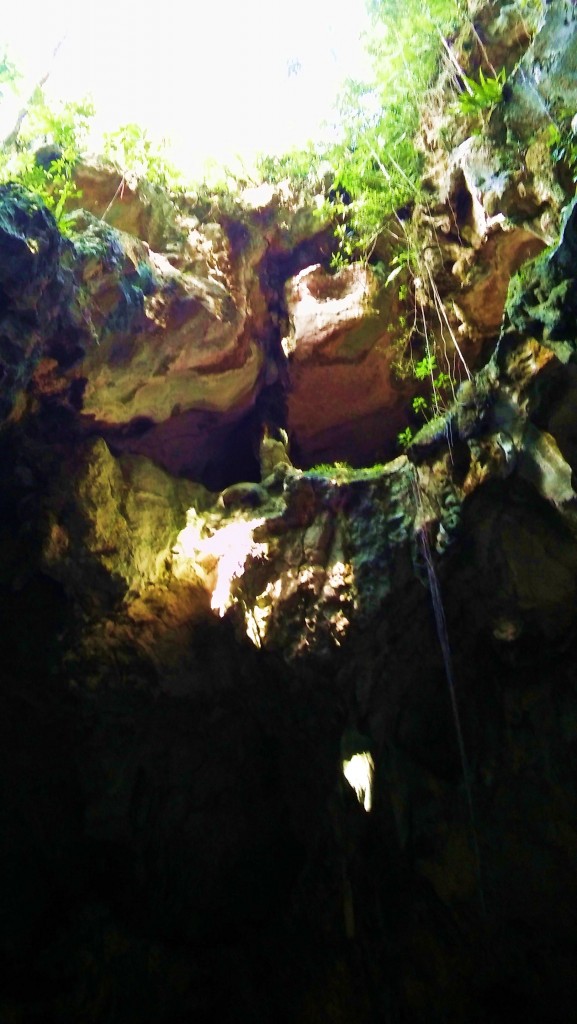 Foto: Cueva de San Gabriel - Parque Nacional Los Haitises (Hato Mayor), República Dominicana