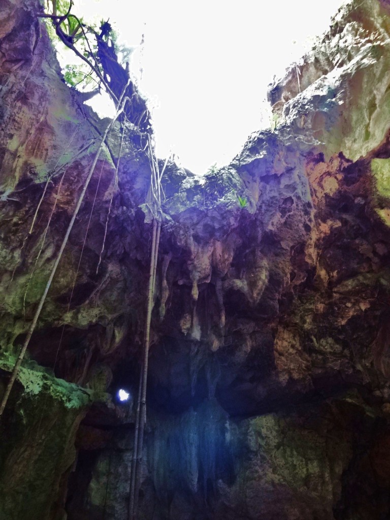 Foto: Cueva de San Gabriel - Parque Nacional Los Haitises (Hato Mayor), República Dominicana