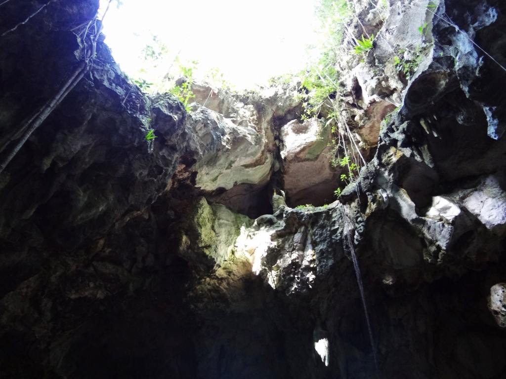 Foto: Cueva de San Gabriel - Parque Nacional Los Haitises (Hato Mayor), República Dominicana