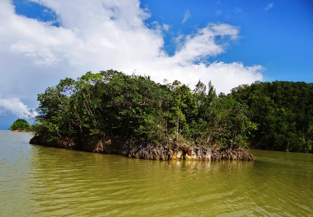 Foto: Bahía de Samaná - Parque Nacional Los Haitises (Hato Mayor), República Dominicana